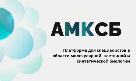 Портал АМКСБ